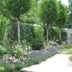 Rose Bonica 82 mit Lavendel Planung Christian Grote Landschaftsarchitekt gründesign