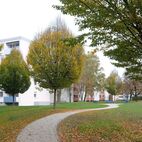 05-geschwungene-Wege-im-Zentrum -Christian Grote gründesign